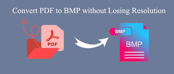 How to Convert PDF to BMP without Losing Resolution?