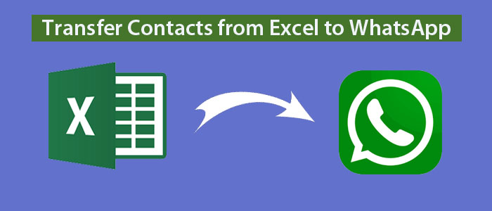 How to Transfer Contacts from Excel to WhatsApp? – Full Guide