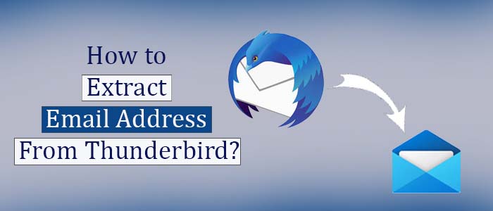 How to Extract (Export)Email Address from Thunderbird?