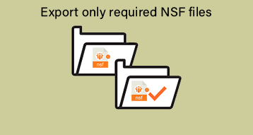 export required nsf files
