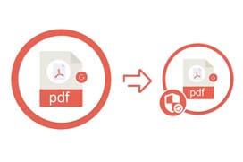 PDF Protector